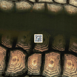 حرير ستان مموج مشجر - ٤ الوان - #٧٥ قماش نسائي خفيف  (لون #4)