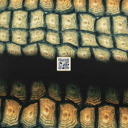 حرير ستان مموج مشجر - ٤ الوان - #٧٥ قماش نسائي خفيف  (لون #3)