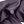 اسود #2